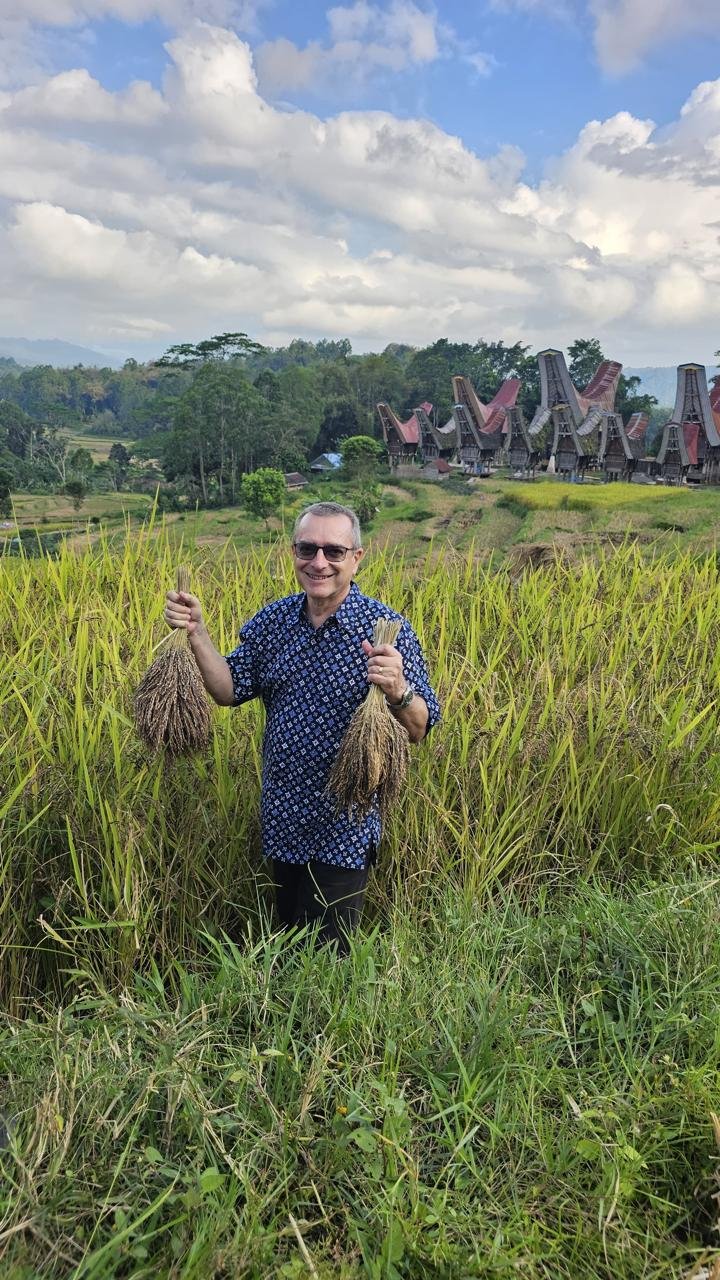 Pengunjung berdiri di antara tanaman padi.