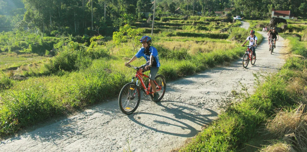 Pesepeda melintasi jalan di antara sawah.
