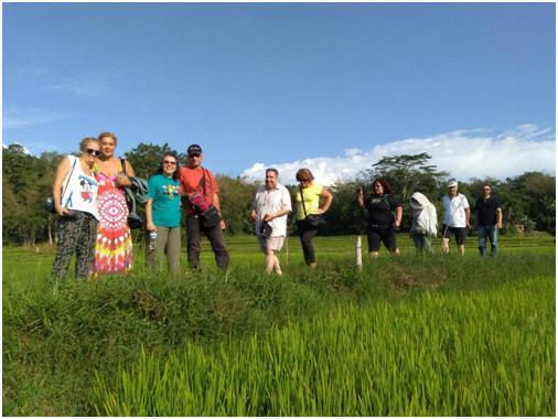 Rombongan pengunjung berdiri di sawah.