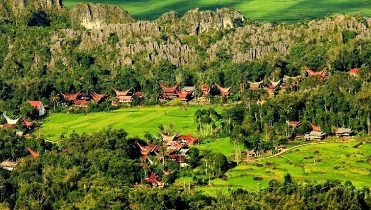 Lanskap hijau dengan bangunan beratap tongkonan.