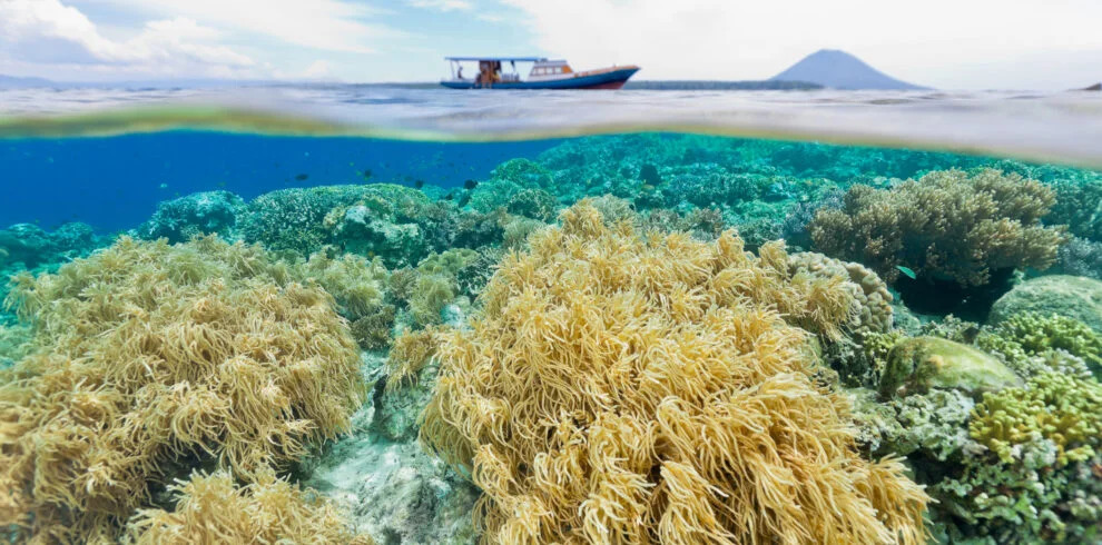 Terumbu karang di bawah permukaan air dan perahu di atasnya.