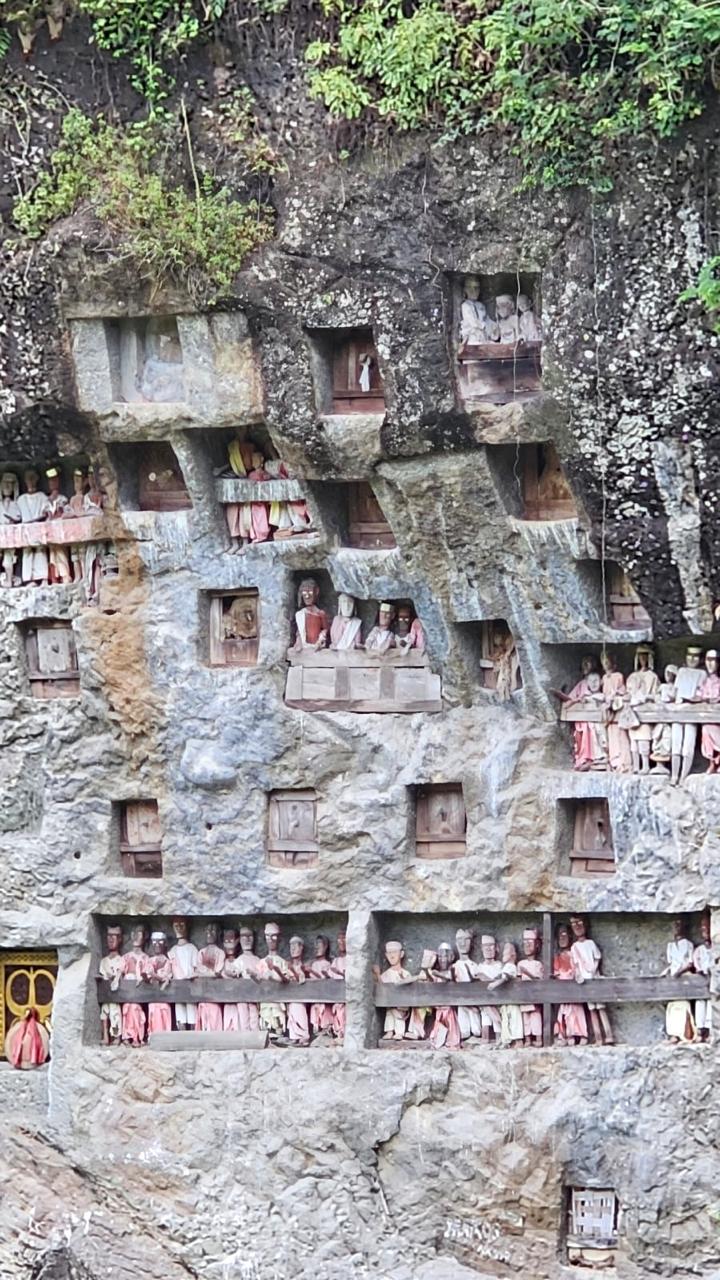 Toraja Culture & Short Trekking