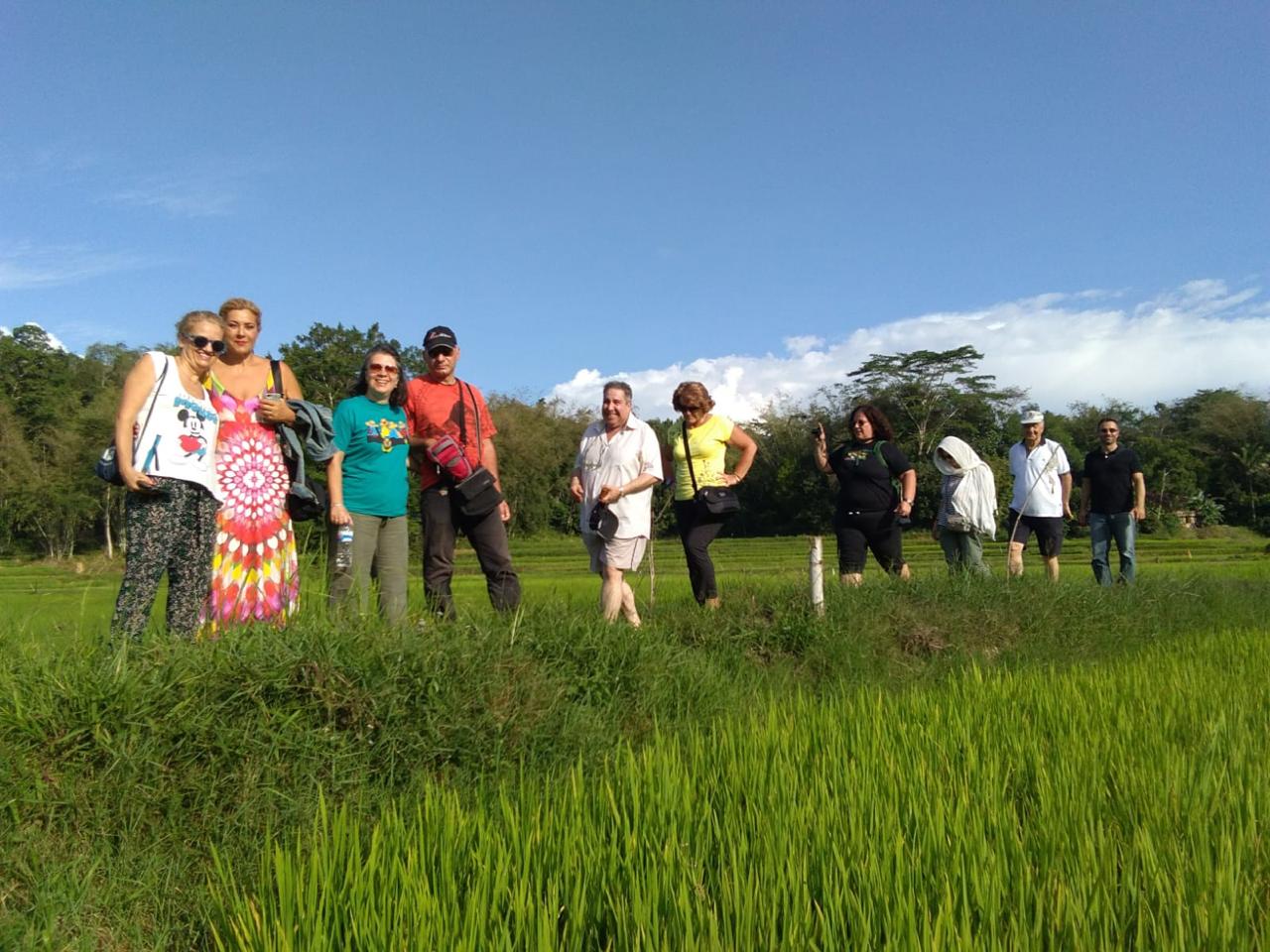 Rombongan pengunjung berdiri di sawah hijau.