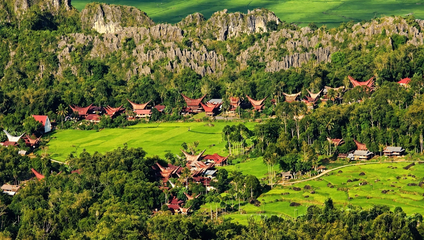 Tongkonan houses and green rice fields in the Toraja highlands.